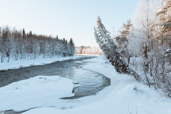 Rovaniemi: Winter Wonderland Vikaköngäs Hiking Tour & BBQ - What the Vikaköngäs outing is really like