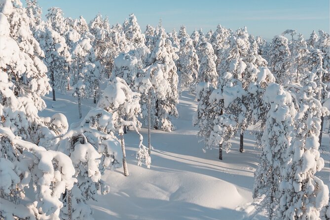 Rovaniemi: Winter Wonderland Vikaköngäs Hiking Tour & BBQ - The frozen falls and broad views