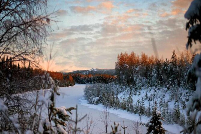 Rovaniemi: Winter Wonderland Vikaköngäs Hiking Tour & BBQ - Leaving Rovaniemi for the forest