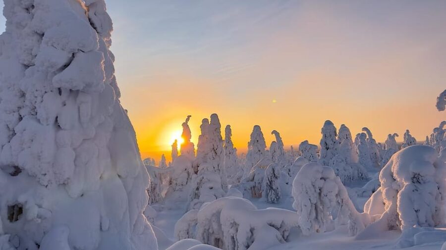 Ruka: Riisitunturi National Park with lunch. - Why Riisitunturi makes a good day from Ruka