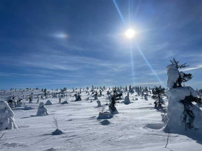 Ruka: Riisitunturi National Park with lunch. - What the $170 price means