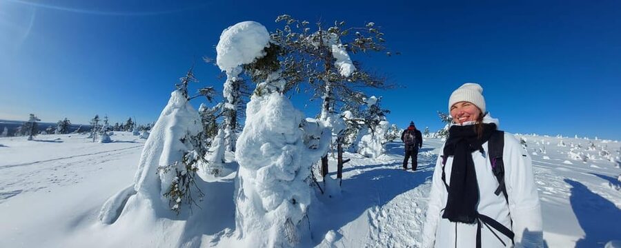 Ruka: Riisitunturi National Park with lunch. - Who will enjoy this Riisitunturi trip