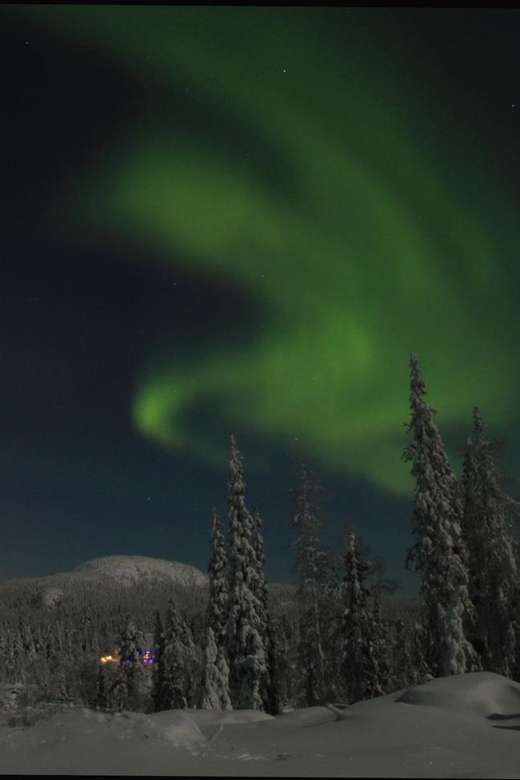 Ruka: Searching for the northern lights with snowshoes - Who will enjoy this outing most