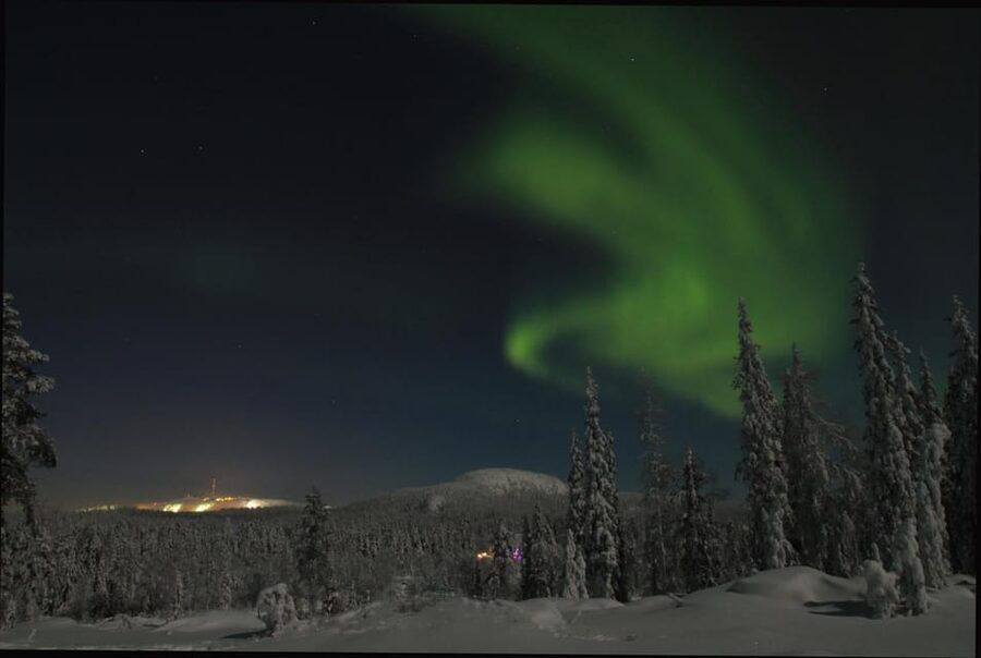 Ruka: Searching for the northern lights with snowshoes - Animal tracks turn a night walk into a nature lesson