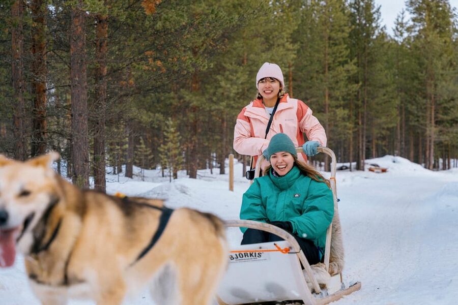 Saariselkä: 10KM Husky Safari with kennel visit - Why driving your own husky sled matters