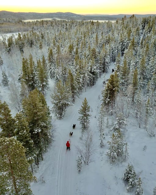 Saariselkä: 10KM Husky Safari with kennel visit - Safety instructions before the dogs run