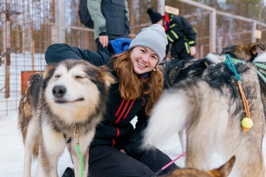 Saariselkä: 10KM Husky Safari with kennel visit - Meeting the dogs after the ride