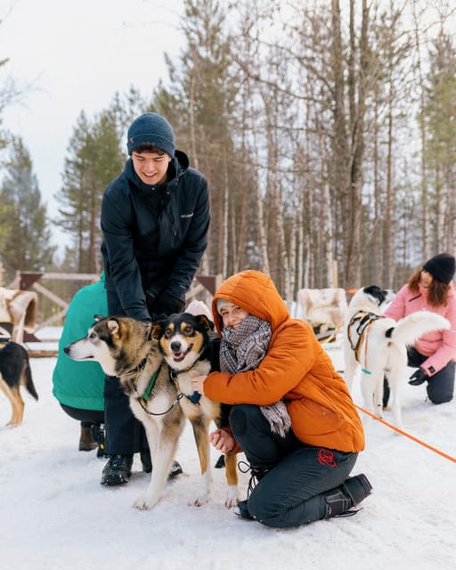 Saariselkä: 10KM Husky Safari with kennel visit - Group size and the personal feel