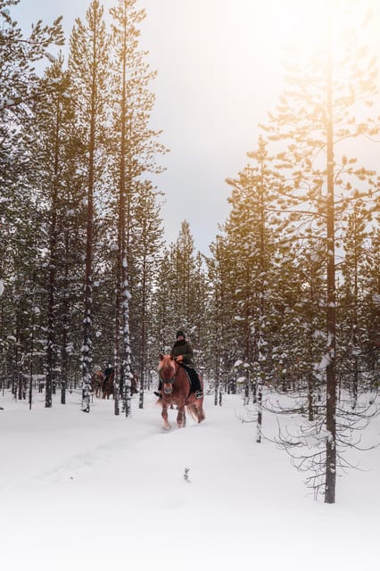 Saariselkä: Arctic Trail Horse Riding Tour - Key points to know before booking