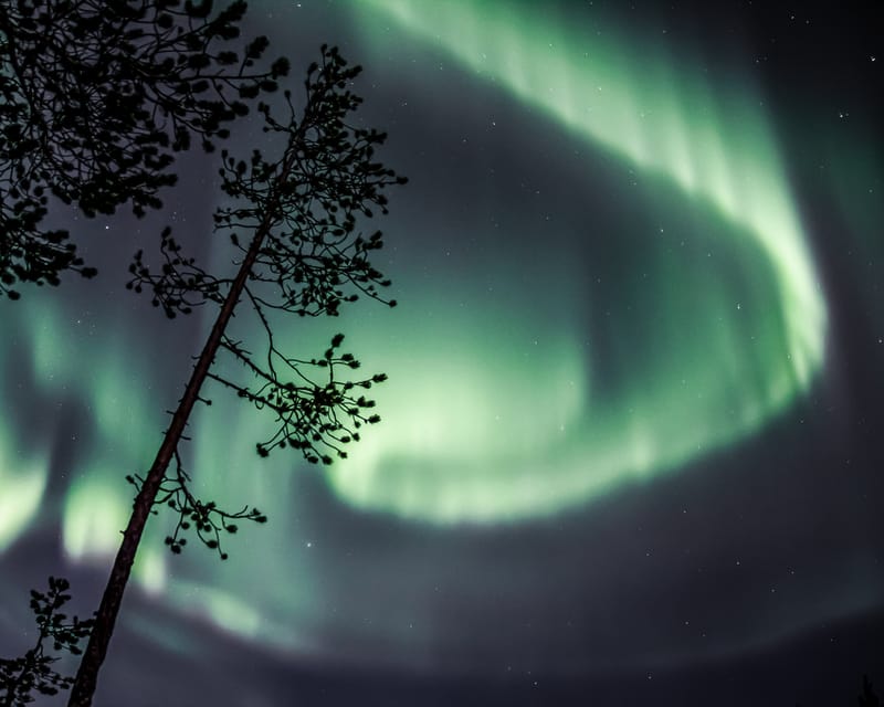 Saariselkä: Aurora Photo Tour by Car with Transfer & Drinks - Taking photos in the Arctic night