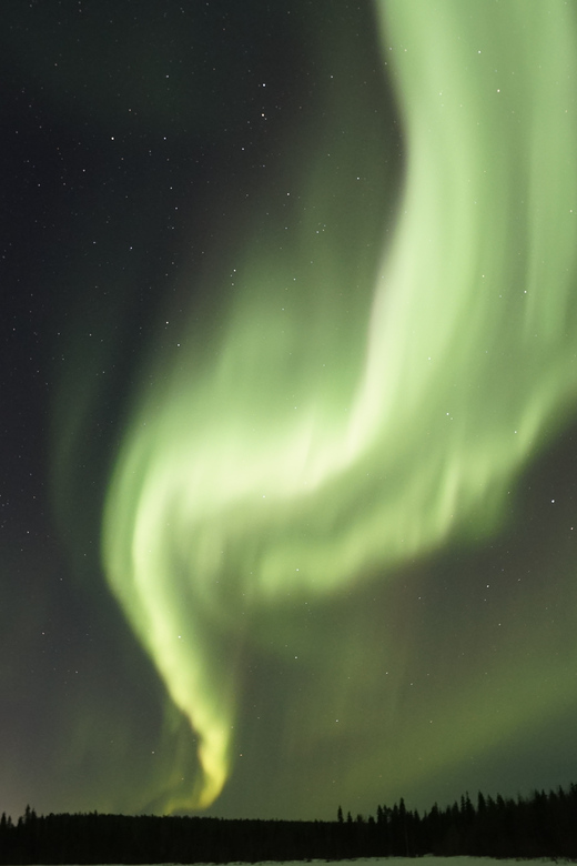 Saariselkä: Aurora Photo Tour by Car with Transfer & Drinks - Booking details that matter