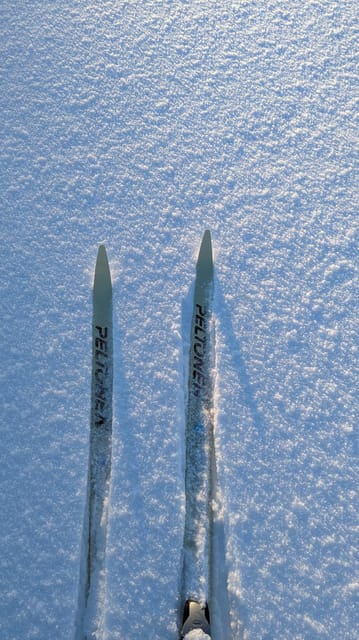Saariselkä: Back-Country Skiing Guided Tour - Key points to know before you book