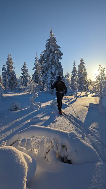 Saariselkä: Back-Country Skiing Guided Tour - What back-country skiing in Saariselkä feels like