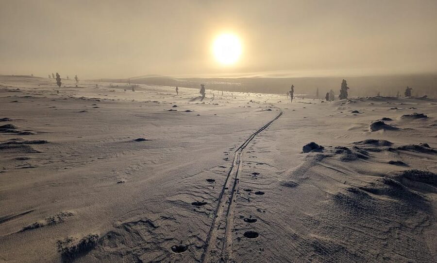 Saariselkä: Back-Country Skiing Guided Tour - Leaving the marked trails