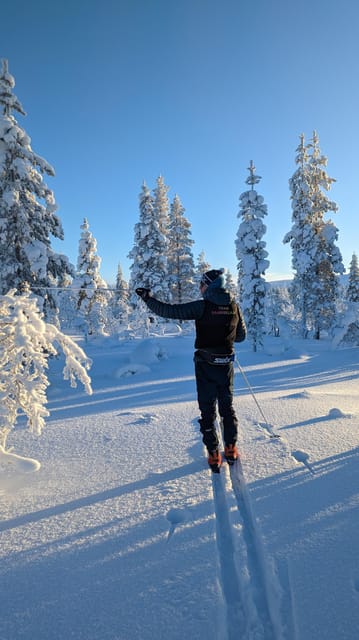 Saariselkä: Back-Country Skiing Guided Tour - Forests, fells, and the chance of wildlife