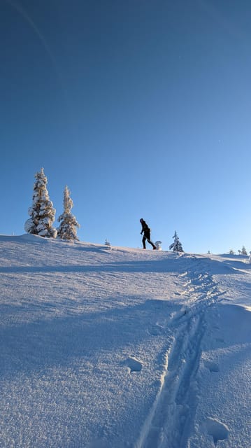 Saariselkä: Back-Country Skiing Guided Tour - Is $94 a fair price?