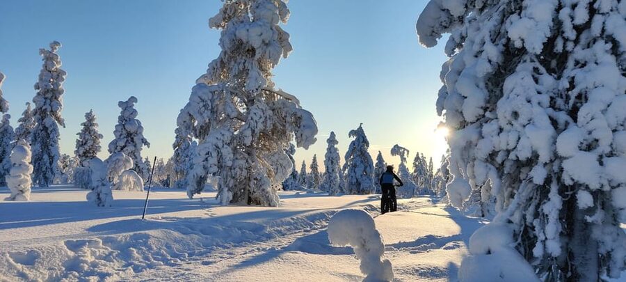 Saariselkä: Guided Fatbike Tour - Two hours or four hours outside