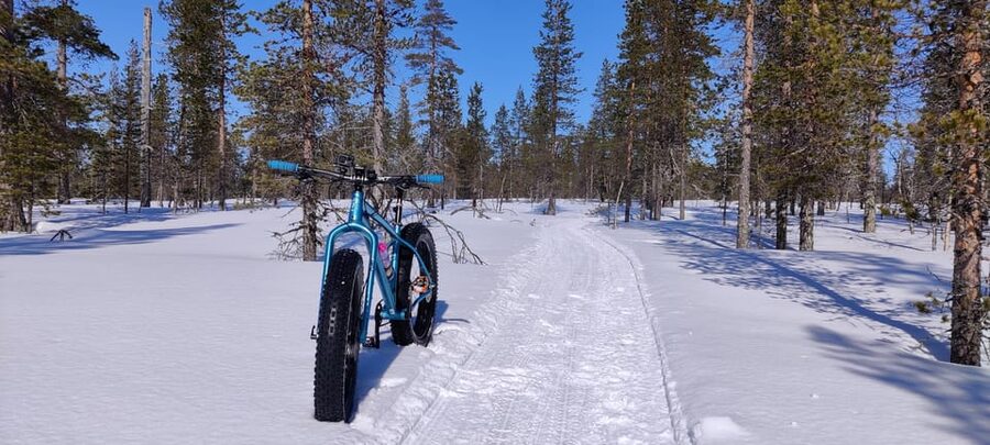 Saariselkä: Guided Fatbike Tour - The warm drink is more useful than it sounds