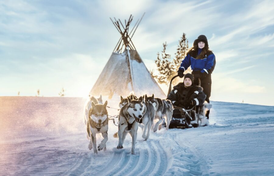 Saariselkä: Husky Safari with Aurora Borealis Hunt - A real night ride, not just a quick husky photo stop