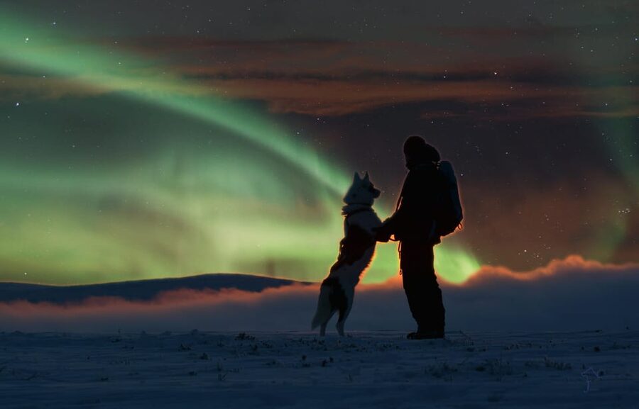 Saariselkä: Husky Safari with Aurora Borealis Hunt - Meeting the huskies and learning to drive