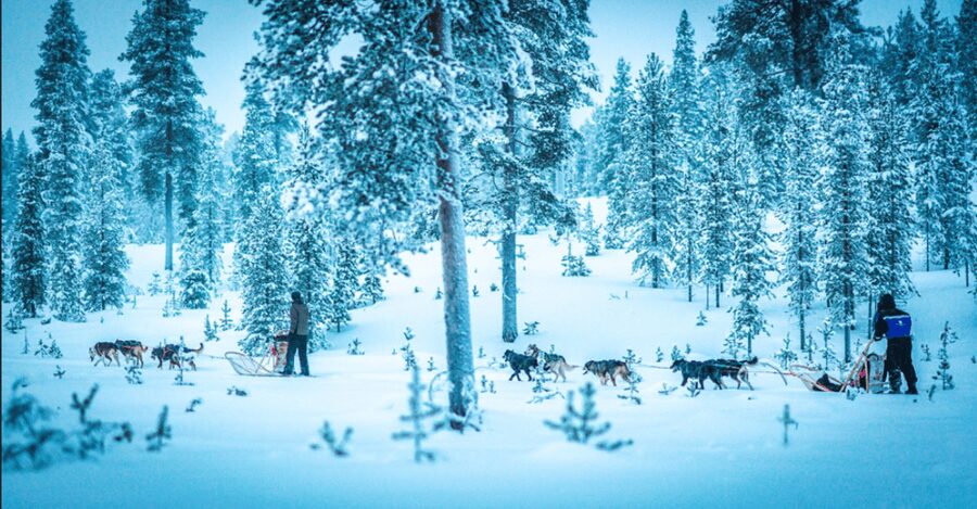 Saariselkä: Husky Safari with Aurora Borealis Hunt - Pickup from Saariselkä and the ride to the farm