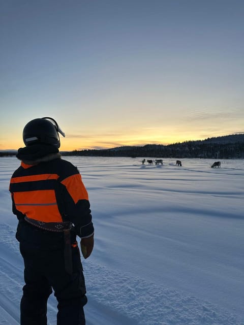 Saariselkä: Ice Fishing Tour to Lake Inari, reindeers& lunch - Lunch beside an open fire in a Lappish teepee