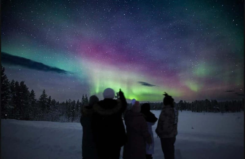 Saariselkä,Kakslauttanen: Aurora Hunting & Photography Tour. - Comfort, group size, and the snowmobile comparison