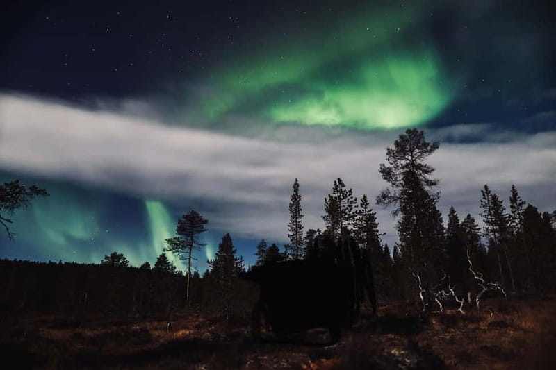 Saariselkä,Kakslauttanen: Aurora Hunting & Photography Tour. - Who will enjoy this outing most