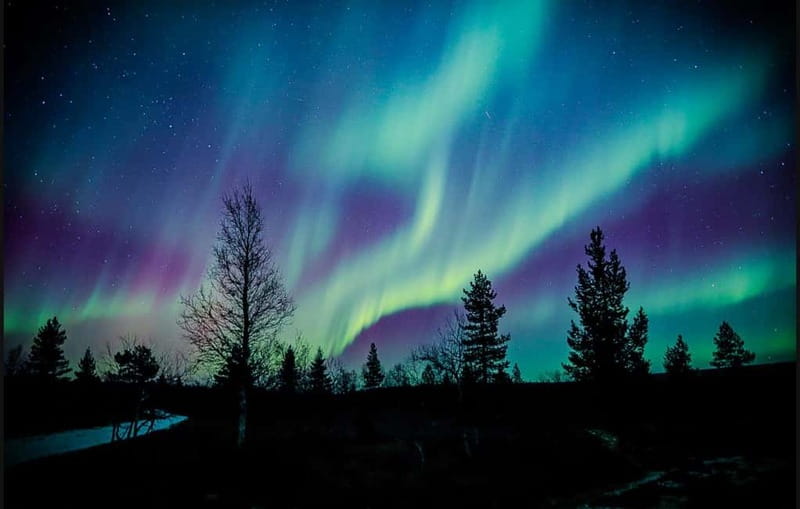 Saariselkä,Kakslauttanen: Aurora Hunting & Photography Tour. - Practical tips for a smoother night