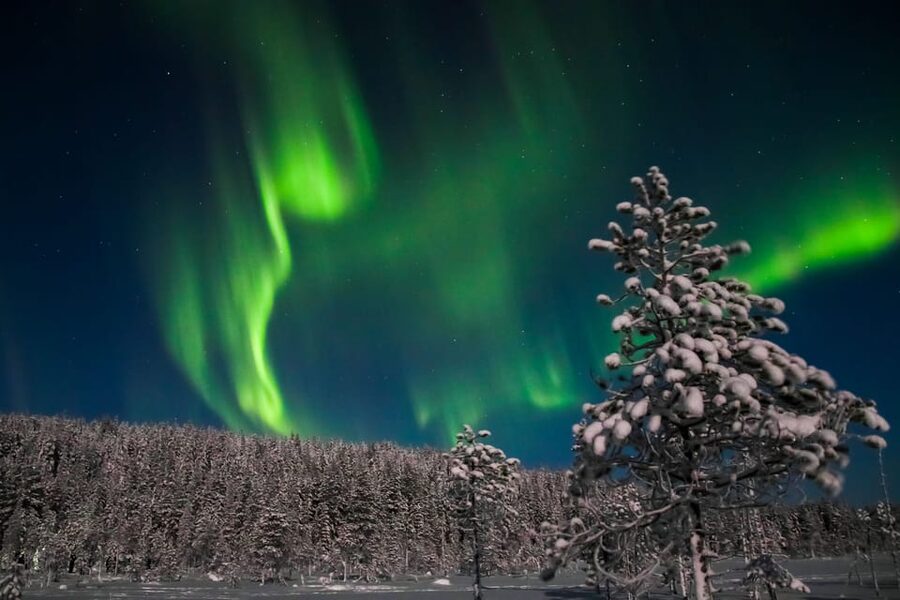Saariselkä: Northern Lights Hunting Snowshoe Trip - What this Saariselkä night trip is really about