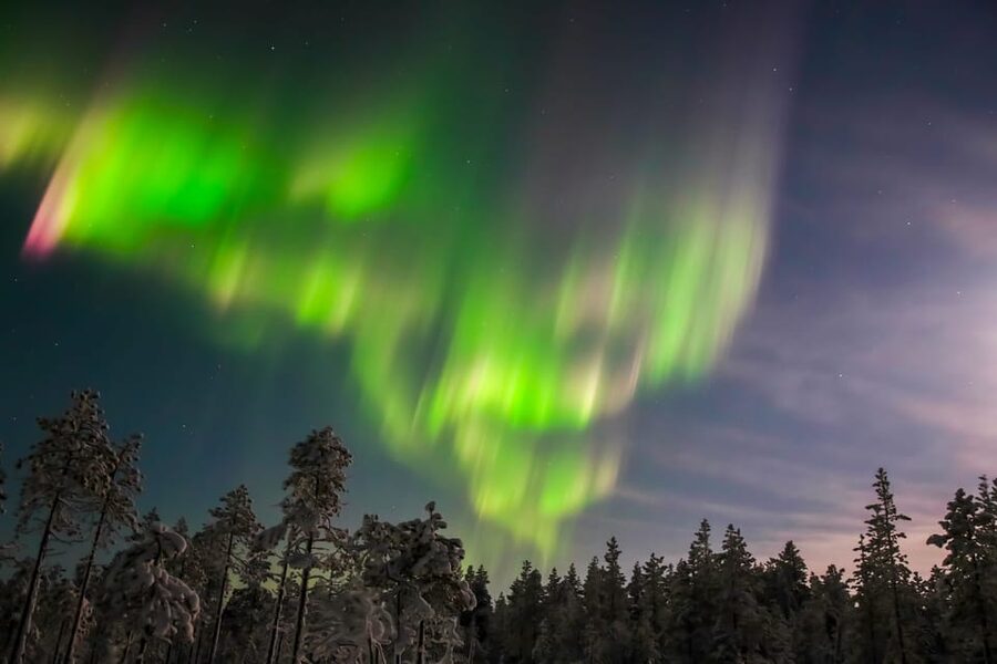 Saariselkä: Northern Lights Hunting Snowshoe Trip - How demanding is the 2.5-hour outing?