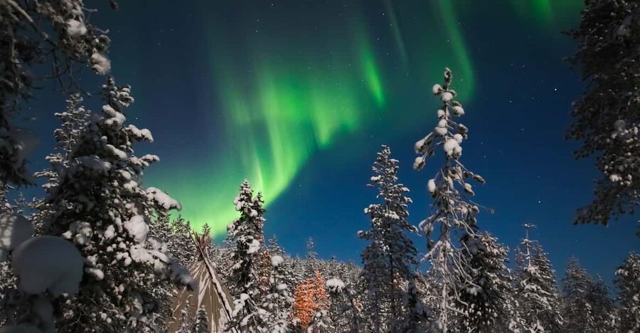 Saariselkä: Northern Lights Hunting Snowshoe Trip - Who gets the best value from this outing?