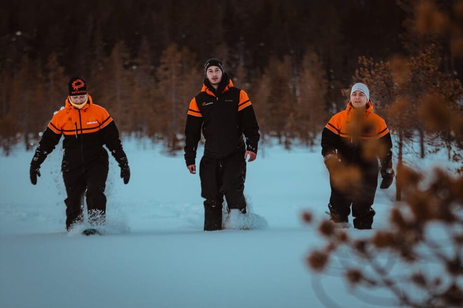 Saariselkä: Northern Lights Hunting Snowshoe Trip - Price, timing, and booking details
