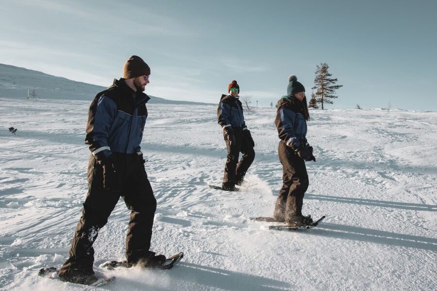 Saariselkä: Scenic Snowshoe Safari - Key points to know before you book