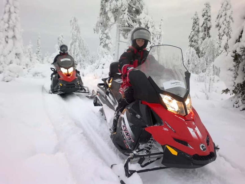 Saariselka: Snowmobile Safari on Tundra with BBQ - Is $175 a fair price?