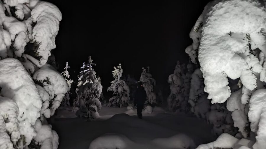 Saariselkä: Snowshoeing Tour in Urho Kekkonen National Park - Walking straight into Urho Kekkonen National Park