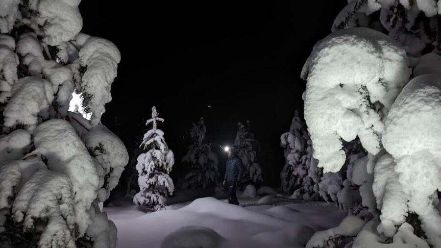 Saariselkä: Snowshoeing Tour in Urho Kekkonen National Park - Guides, group size, and the feel of the outing