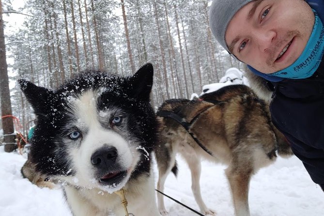 Santa Claus Village Guided Tour & Arctic Animals Adventure - Santa Claus Village and the Arctic Circle crossing