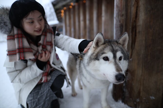 Santa Claus Village, Husky and Reindeers Combo Safari - Guides can make or break the morning