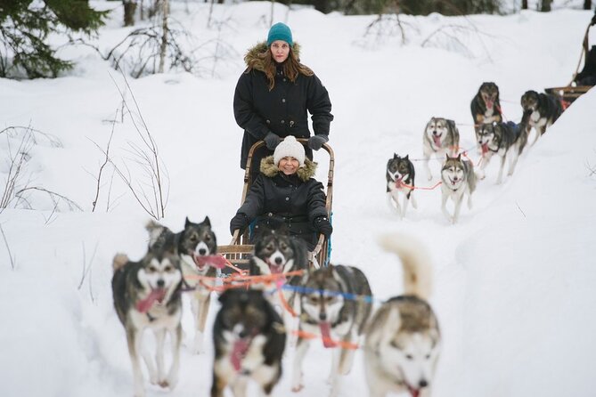 Santa's Reindeer & Husky Safari + Aurora BBQ in Rovaniemi - The evening Aurora hunt