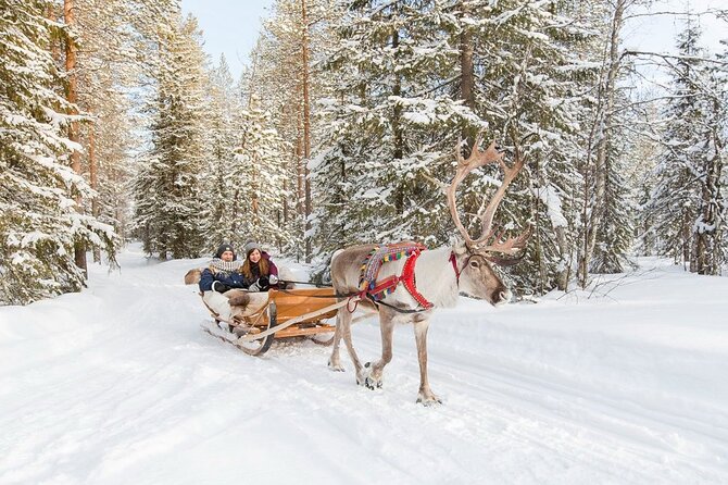 Santa's Reindeer & Husky Safari + Aurora BBQ in Rovaniemi - BBQ, berry tea, and what is actually included