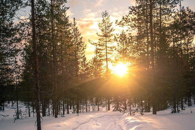 Scenic electric fat bike group ride in Rovaniemi - Ounasvaara’s snowy trails for the next 55 minutes