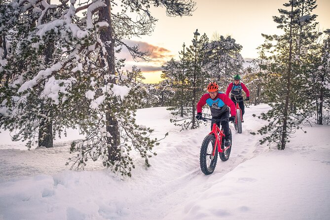 Scenic electric fat bike group ride in Rovaniemi - The return is often the most playful part