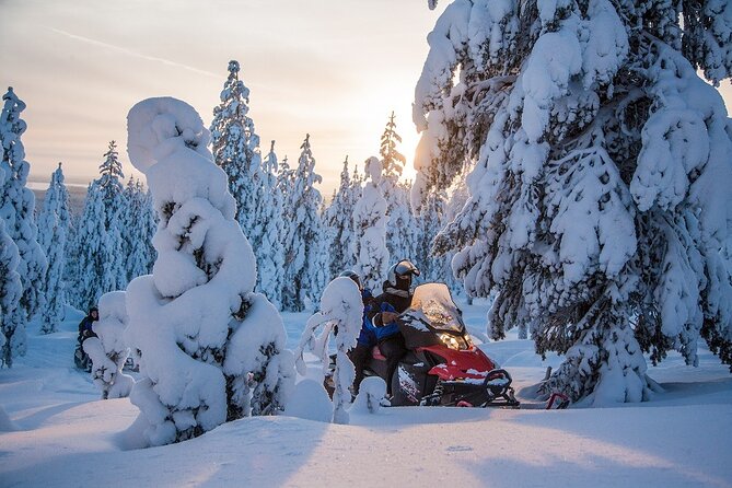 Scenic Snowmobile Safari in Saariselkä - The scenery between Saariselkä’s trees and fells