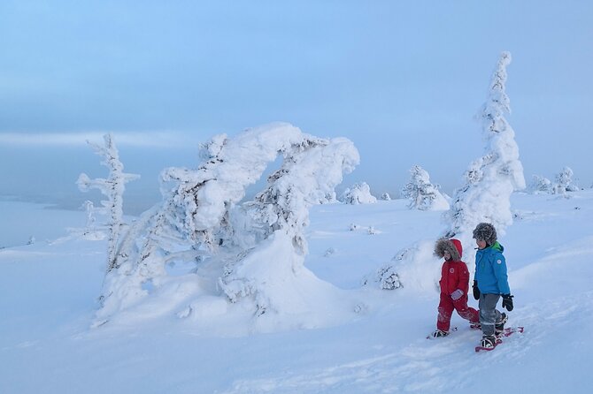 Scenic Snowshoeing on the Top of Pyhä Fell - What the 2.5-hour schedule feels like