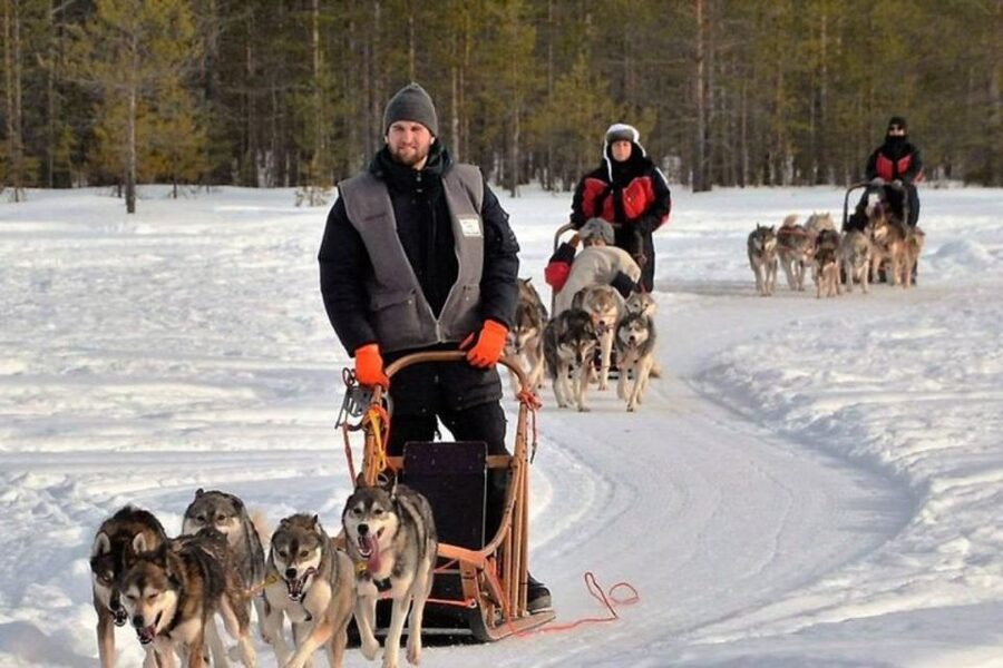 Sirkka: Husky Sled Ride in Levi 2km or 5 km from Levi - What happens if the snow is thin