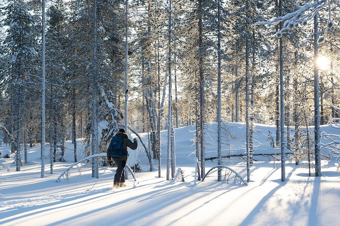 Ski Trek to the Wilderness - Extra Small group - Leaving Rovaniemi for quiet Lapland country