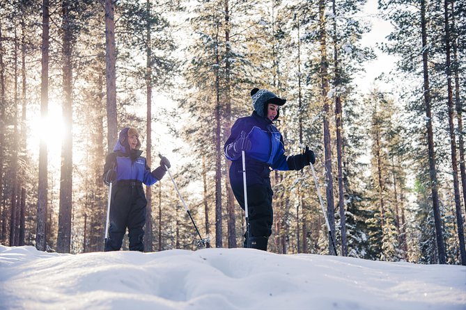 Ski Trekking Safari in Lapland - The quiet appeal of the Taiga forest