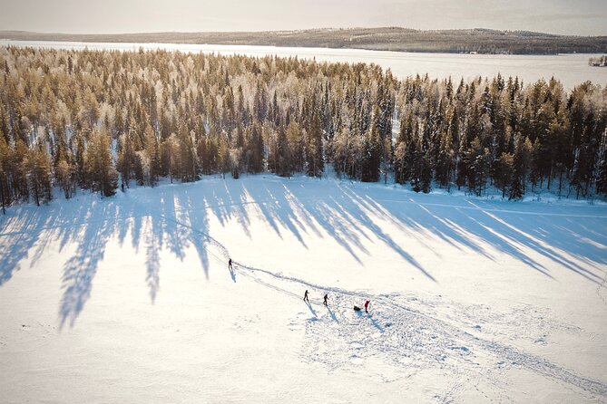 Ski Trekking Safari in Lapland - What the $131.32 price covers