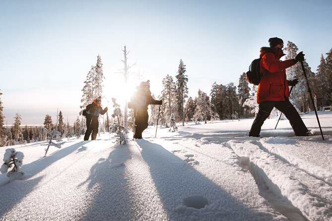 Ski Trekking Safari in Lapland - Following a route chosen for your group